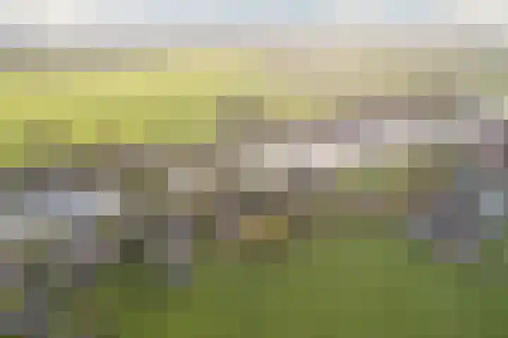 Noorderweg 74 Geerdijk thumbnail 68