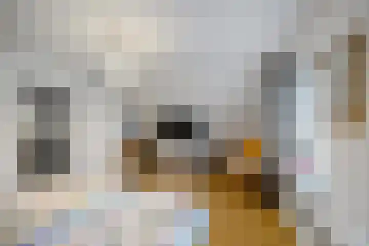 Noordes 10 Annen thumbnail 24