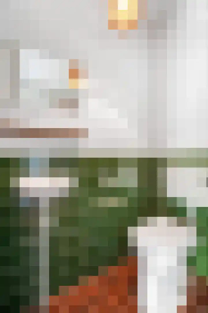 Noordes 10 Annen thumbnail 26
