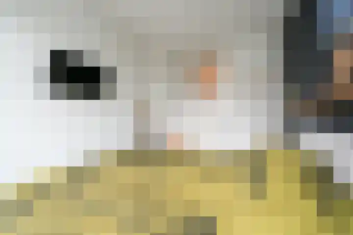 Noordes 10 Annen thumbnail 33