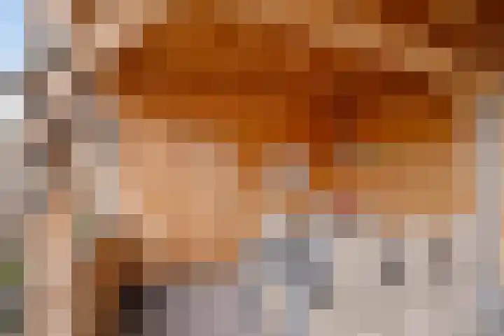 Noordes 10 Annen thumbnail 40