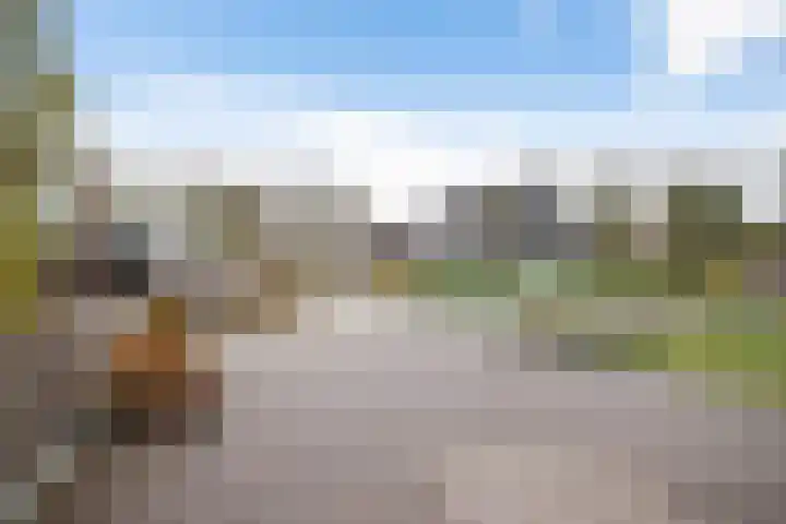 Noordes 10 Annen thumbnail 43