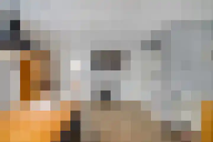 Noordes 10 Annen thumbnail 9