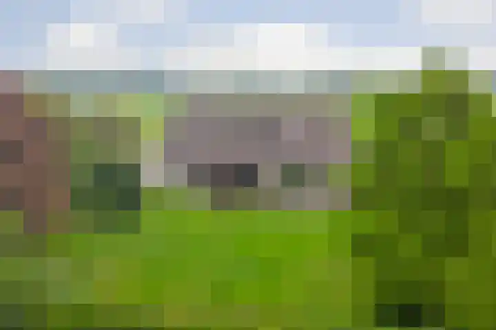 Noordkant 23 Sint Anthonis thumbnail 85