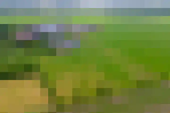 Noordkant 23 Sint Anthonis thumbnail 87