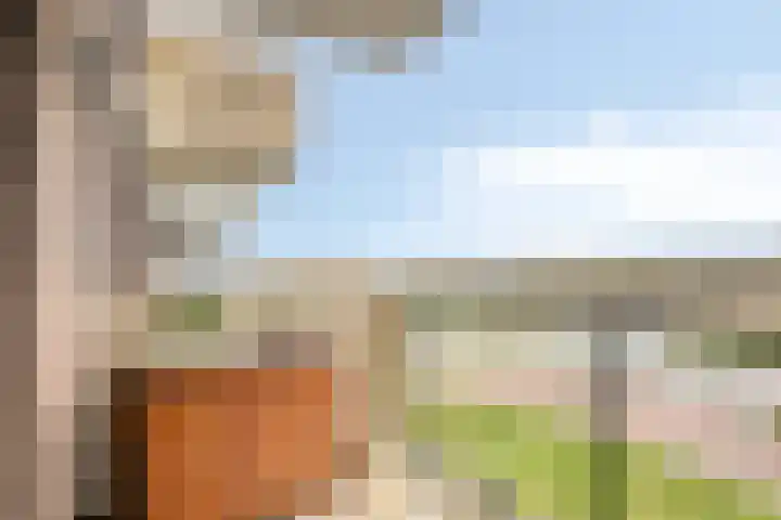Noordmanshof 64 Katwijk thumbnail 25