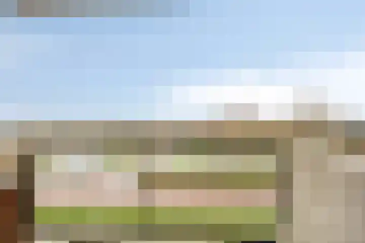 Noordmanshof 64 Katwijk thumbnail 26