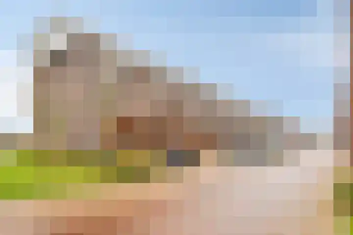 Noordmanshof 64 Katwijk thumbnail 40
