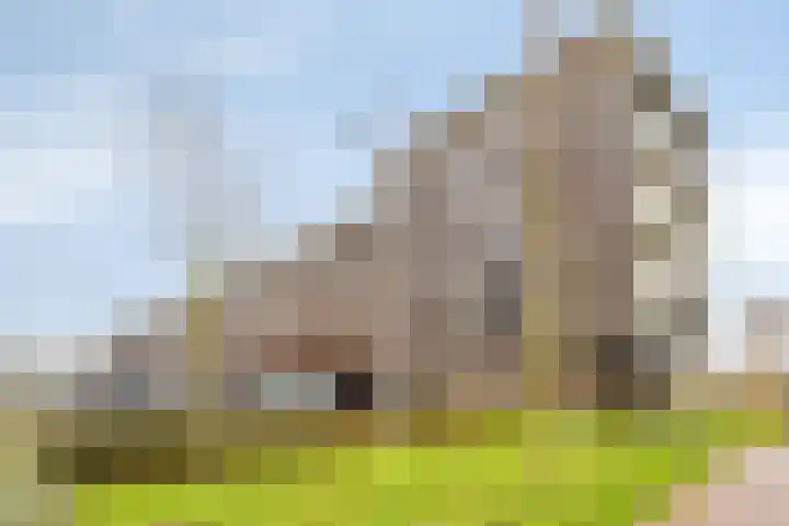 Noordmanshof 64 Katwijk thumbnail 41
