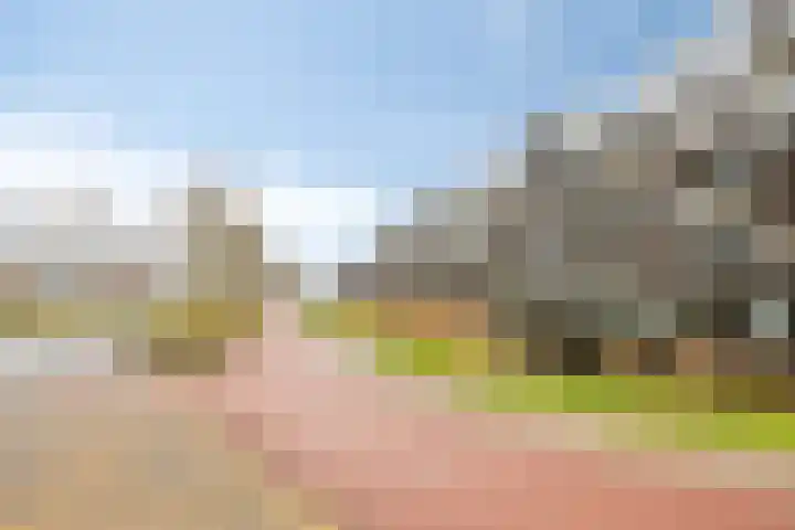 Noordmanshof 64 Katwijk thumbnail 44