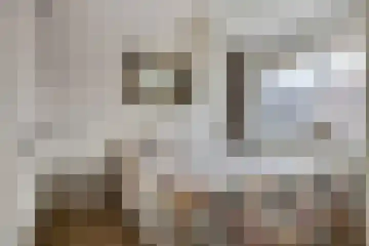 Noordmanshof 64 Katwijk thumbnail 5