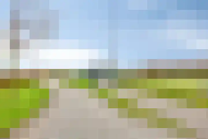 Noordmanshof 64 Katwijk thumbnail 50