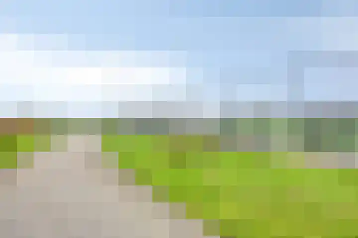 Noordmanshof 64 Katwijk thumbnail 51