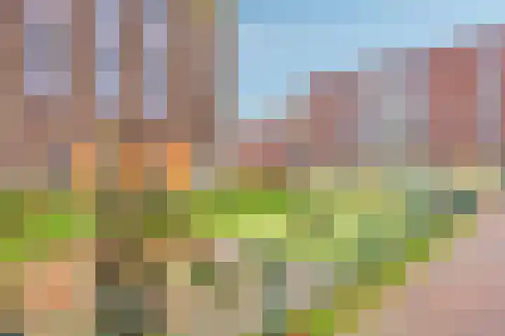 Noordmanshof 64 Katwijk thumbnail 52