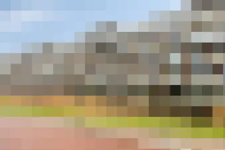 Noordmanshof 64 Katwijk thumbnail 8