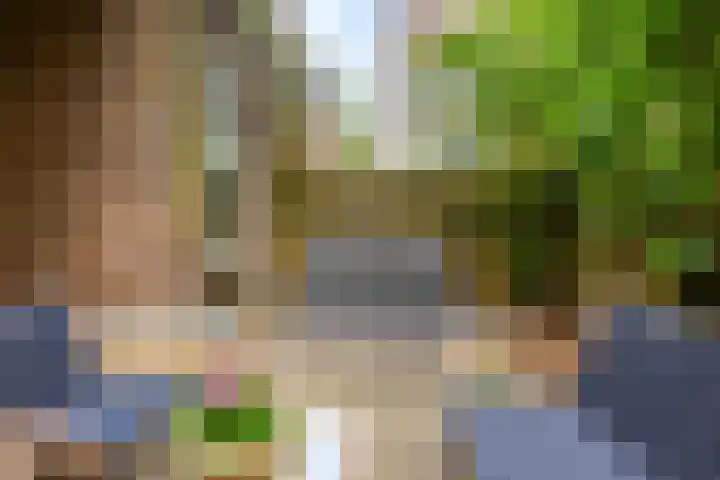 Noordpad 44 Arnhem thumbnail 13