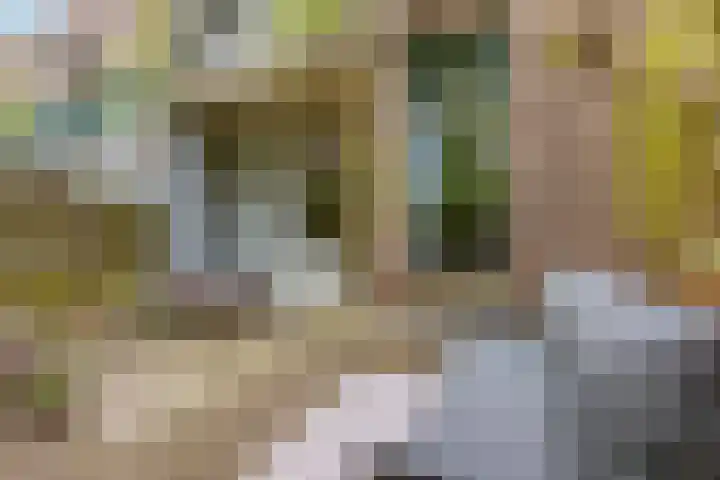 Noordpad 44 Arnhem thumbnail 14