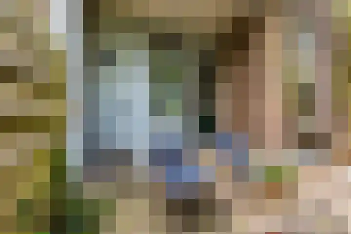 Noordpad 44 Arnhem thumbnail 15