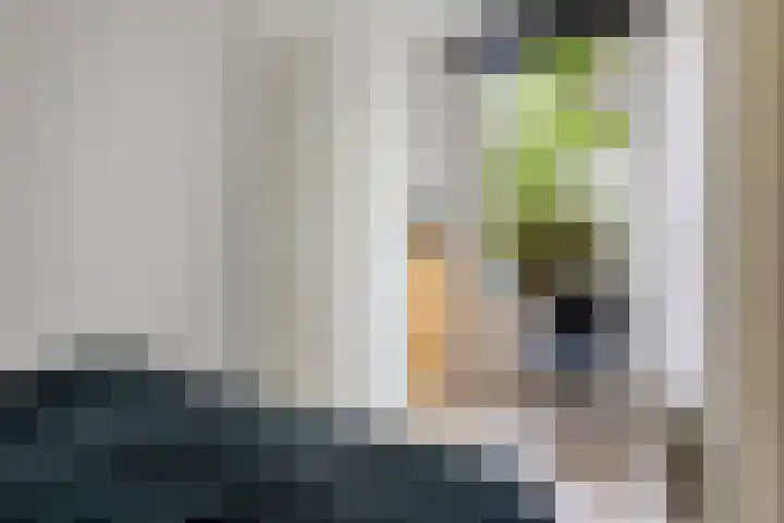 Noordpad 44 Arnhem thumbnail 20