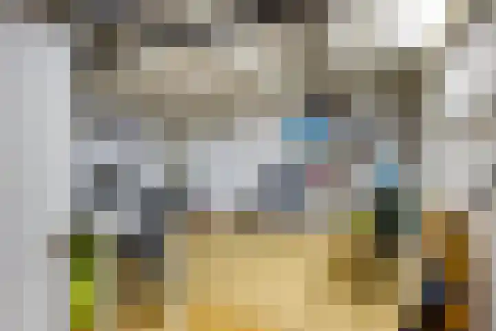 Noordpad 44 Arnhem thumbnail 22