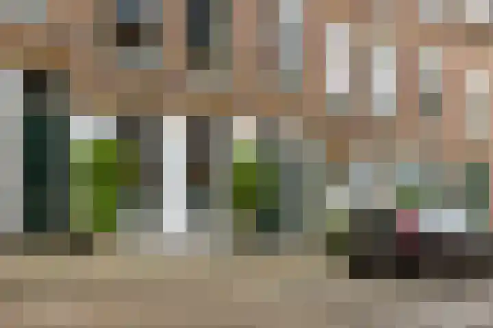 Noordpad 44 Arnhem thumbnail 24