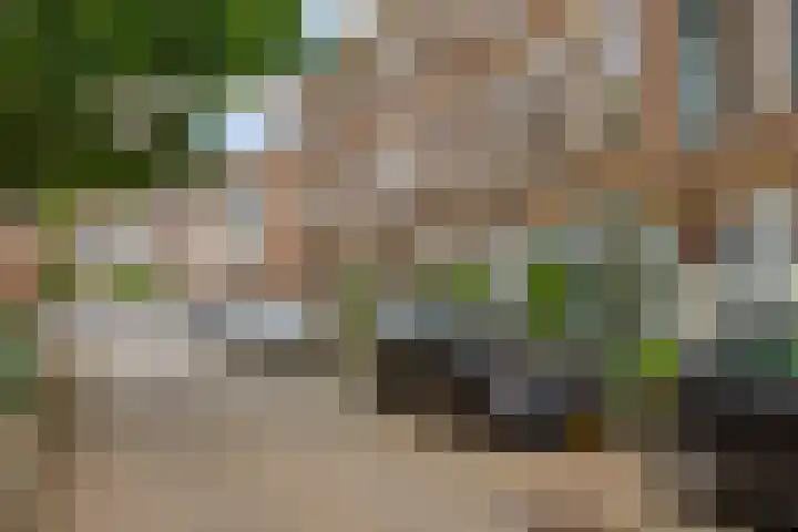 Noordpad 44 Arnhem thumbnail 25