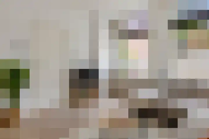 Noordpad 44 Arnhem thumbnail 4