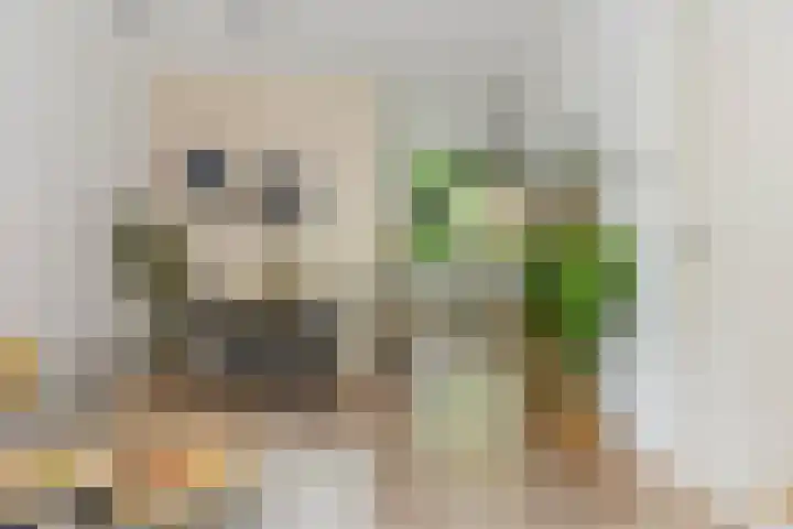 Noordpad 44 Arnhem thumbnail 7