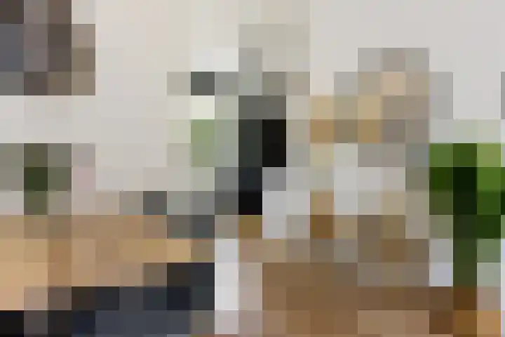 Noordpad 44 Arnhem thumbnail 8