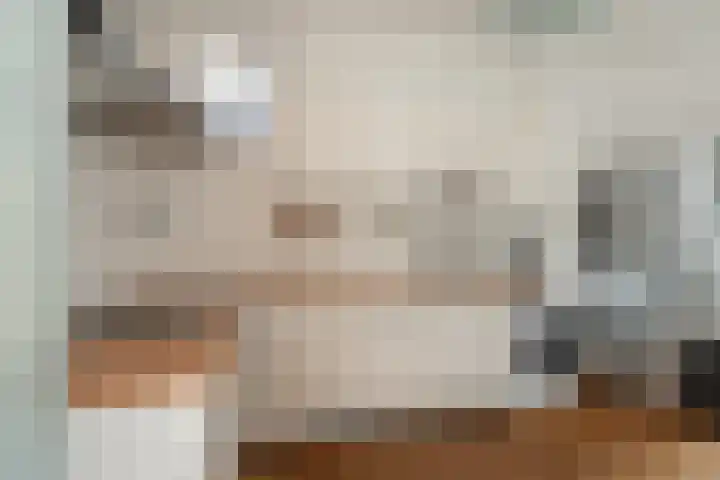 Noordpad 61 Arnhem thumbnail 12
