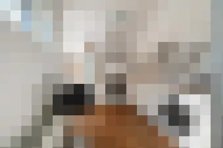 Noordpad 61 Arnhem thumbnail 13