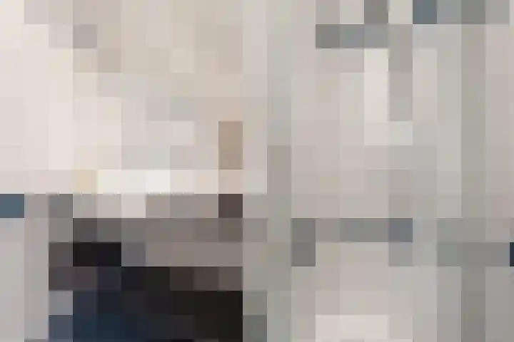 Noordpad 61 Arnhem thumbnail 20