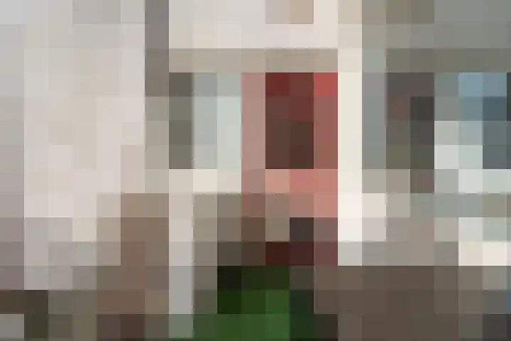 Noordpad 61 Arnhem thumbnail 30