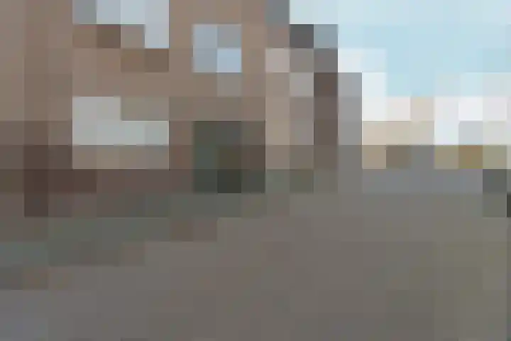 Noordpad 61 Arnhem thumbnail 37