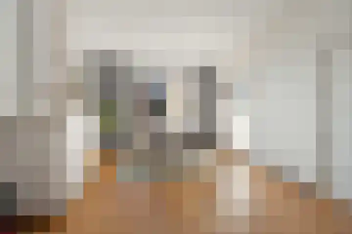 Noordpad 61 Arnhem thumbnail 4