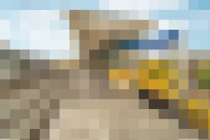 Noordpad 61 Arnhem thumbnail 46