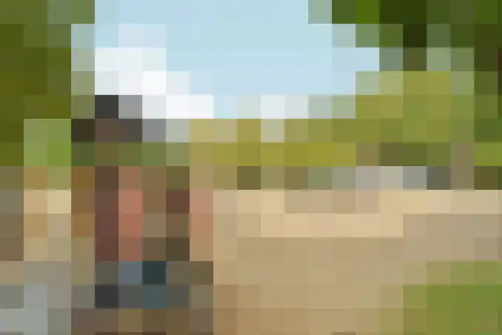 Noordpad 61 Arnhem thumbnail 47