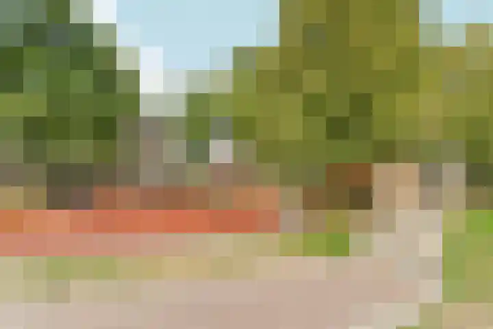 Noordpad 61 Arnhem thumbnail 48