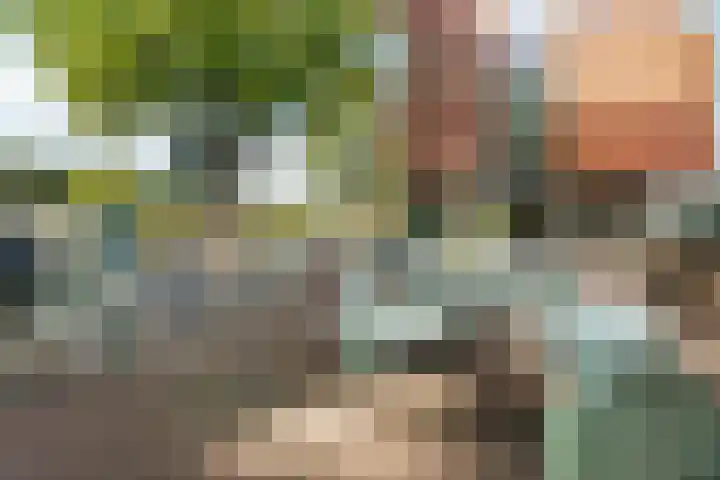 Noordpad 61 Arnhem thumbnail 50