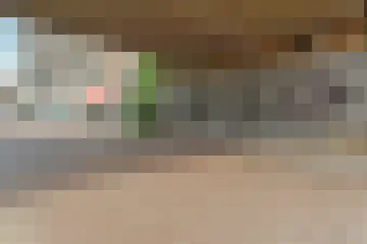 Noordpad 61 Arnhem thumbnail 51