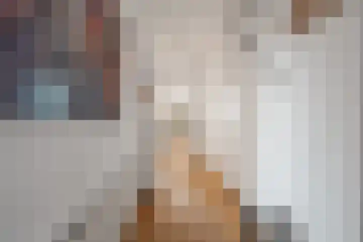 Noordpad 61 Arnhem thumbnail 9