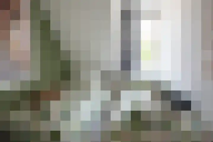 Noordschans 4 Oude Wetering thumbnail 17