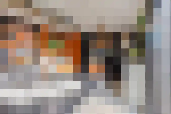 Noordschans 4 Oude Wetering thumbnail 22