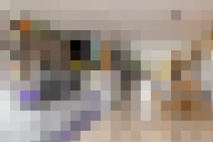 Noordschans 4 Oude Wetering thumbnail 5