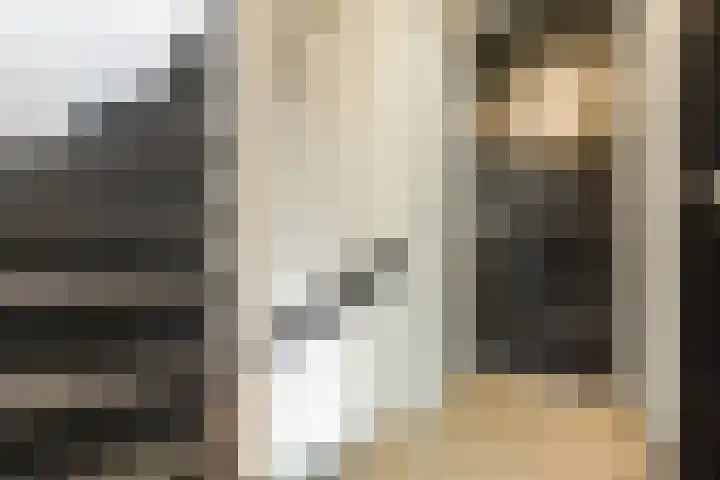 Noordschotestraat 36 Breda thumbnail 30