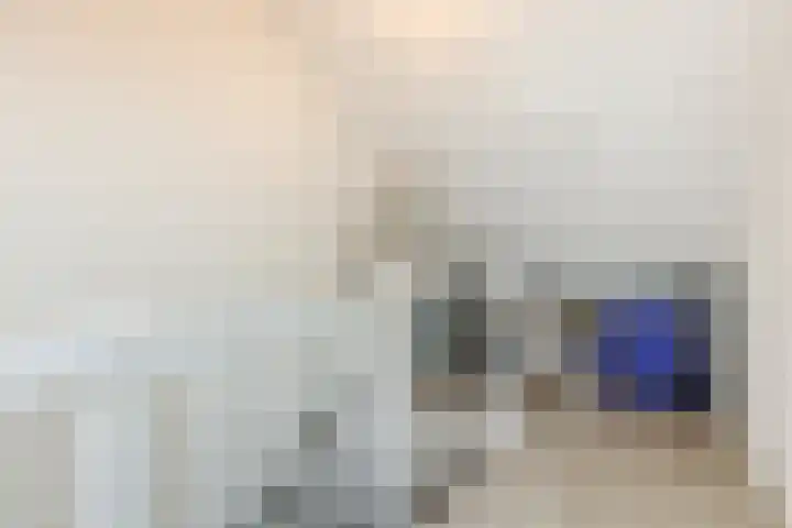 Noordschotestraat 36 Breda thumbnail 34
