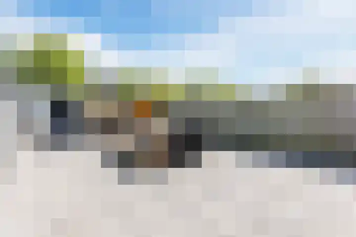 Noordschotestraat 36 Breda thumbnail 35