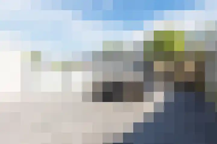 Noordschotestraat 36 Breda thumbnail 36