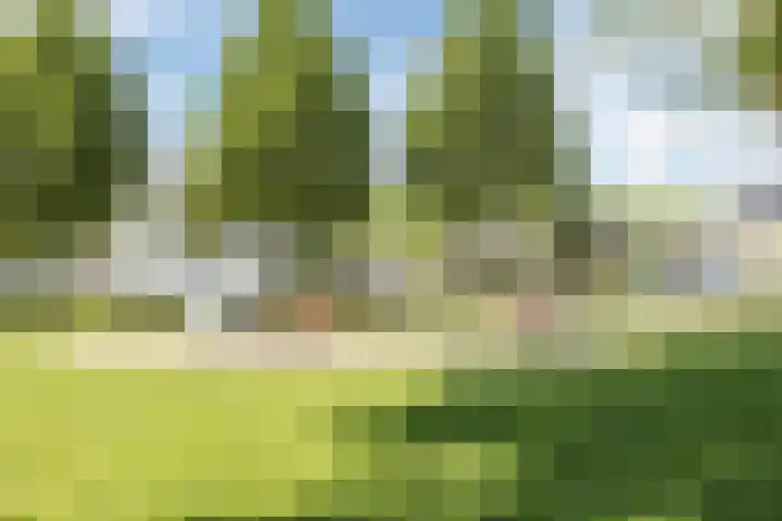 Noordschotestraat 36 Breda thumbnail 43