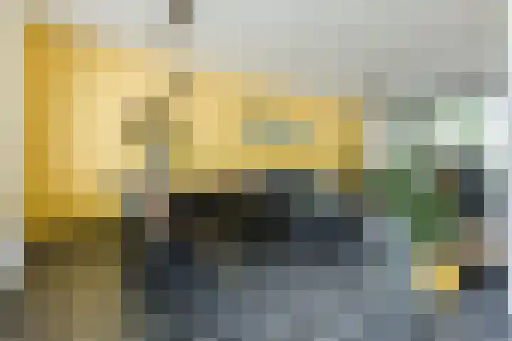 Noordschotestraat 36 Breda thumbnail 5